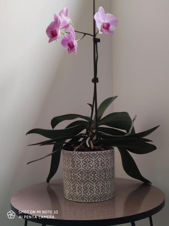 Chambre D'Hotes Du Muguet Avec Sdb Privative Le Mans Luaran gambar